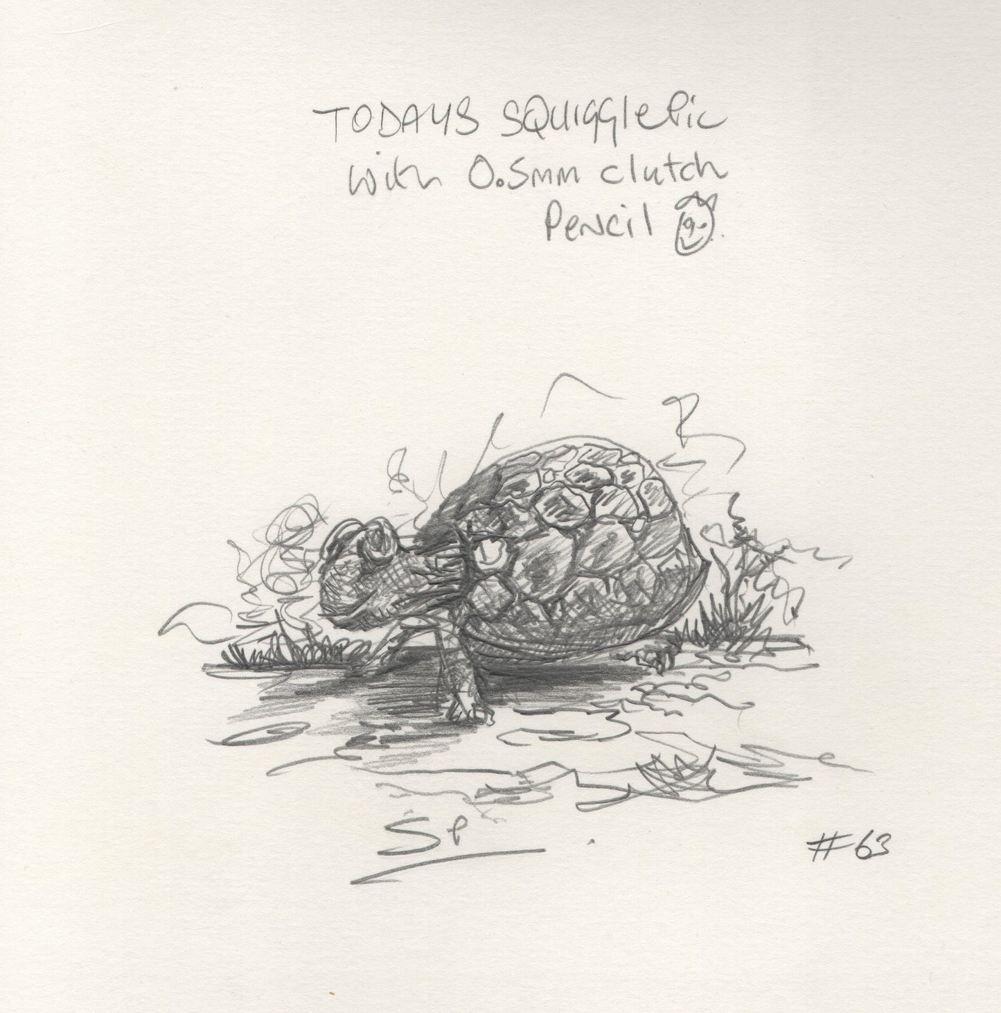 “Tortoise” - Pencil - 170x190mm - 2024
